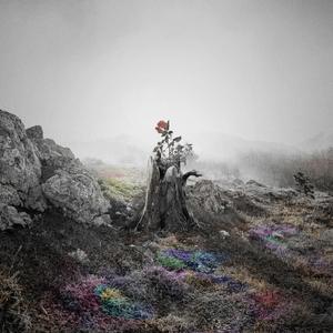 欧洲女人荫蒂视频
