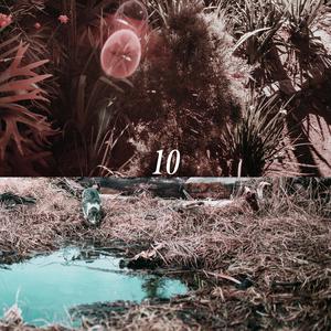 欧洲女人荫蒂视频
