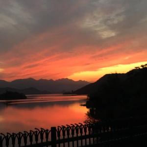 欧洲女人荫蒂视频
