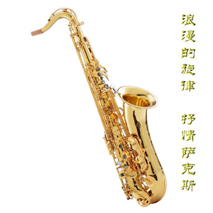 欧洲女人荫蒂视频
